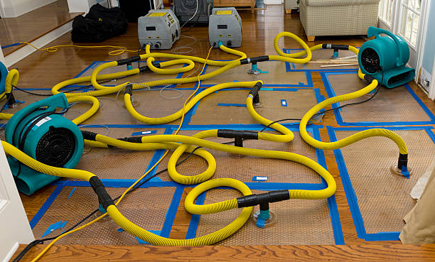Professional Water Extraction technician working in Scotts Valley, CA